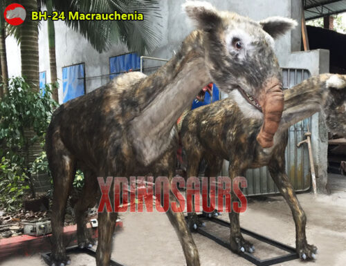 Animatronic Macrauchenia