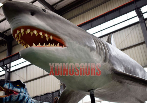 Animatronic Shark Model