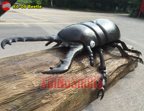 Big Beetle Model