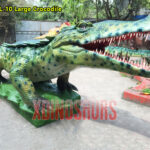 Big Crocodile Model