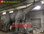 Big Paraceratherium Model