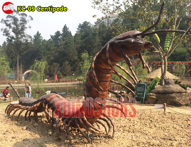 Animatronic Centipede Model