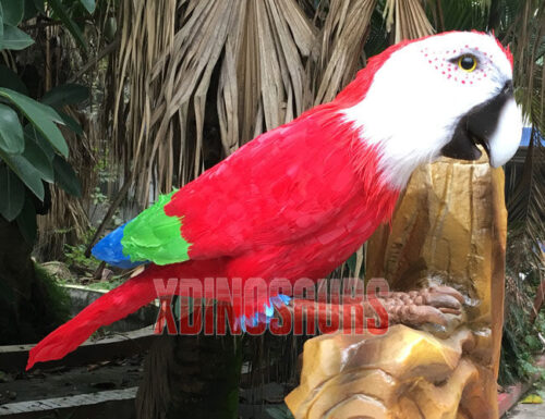 Custom Parrot Model