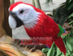 Custom Parrot Model