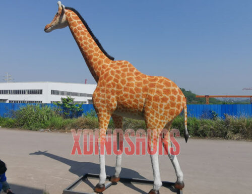 Customized Giraffe Model