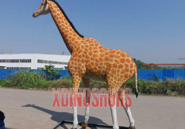 Customized Giraffe Model