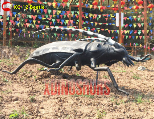 Giant Beetle Model