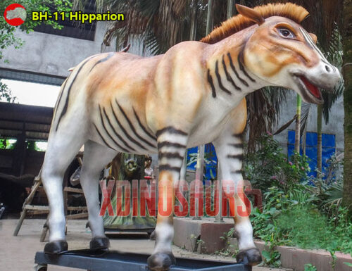 Hipparion Model