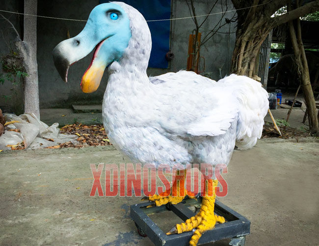 Customized Animatronic Dodo Bird Model