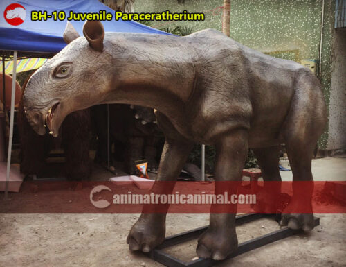 Juvenile Paraceratherium Model