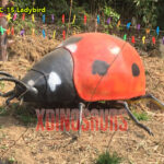 Ladybird Model