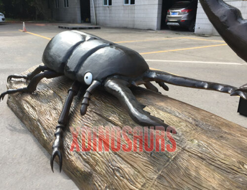 Large Beetle Model