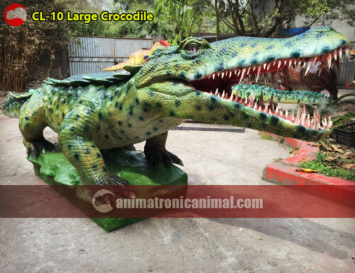 Large Crocodile Model