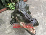 Life Size Crocodile Model