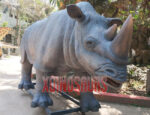 Life Size Rhinoceros Exhibit 2