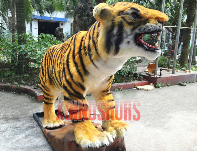 Life Size Tiger Exhibit