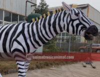 Life Size Zebra Model