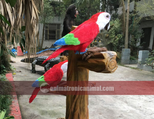 Lifelike Parrot Models