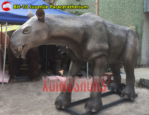 Paraceratherium Model