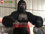 Real Size Gorilla Model