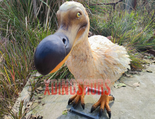 Robotic Dodo Bird Model