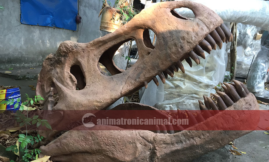 Trex Head Fossil Replica