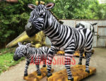 Zebra Family Exhibits