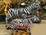 Zebra Family Exhibits