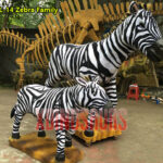 Zebra Family Models