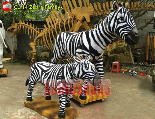 Zebra Family Models