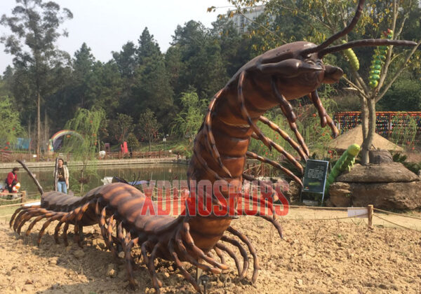 Big Centipede Model