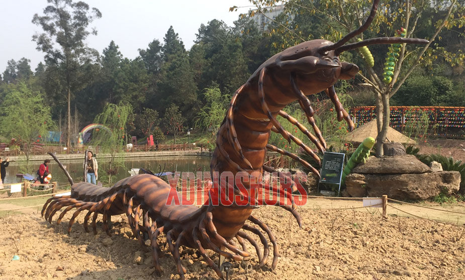 Big Centipede Model