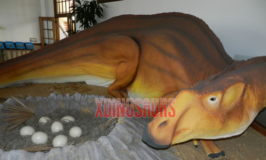 Maiasaura and Eeggnest Model