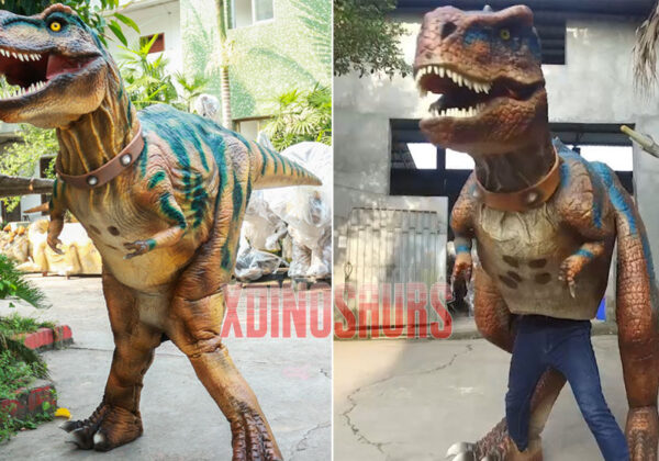 Two Different Dinosaur Costumes