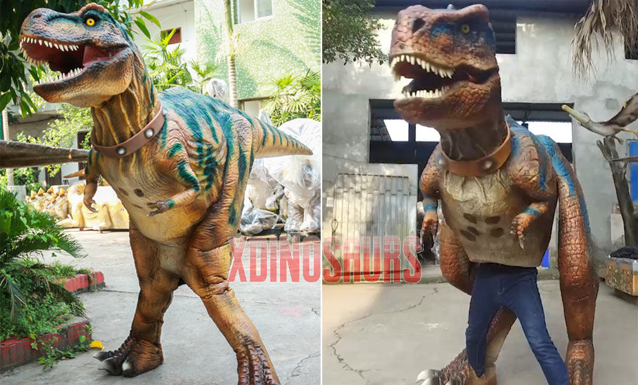 Two Different Dinosaur Costumes