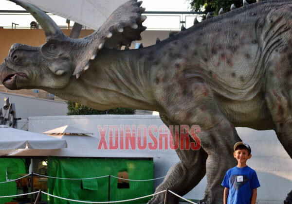 Triceratops Model for Jurassic Adventure