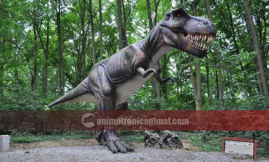 10m Long Animatronic T-Rex Model