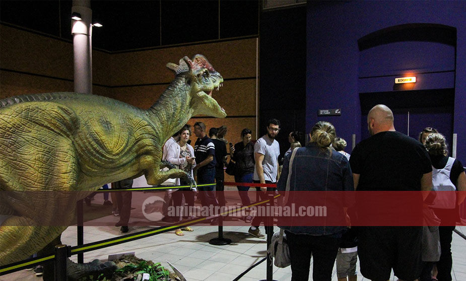 Animatronic Dinosaur Exhibition