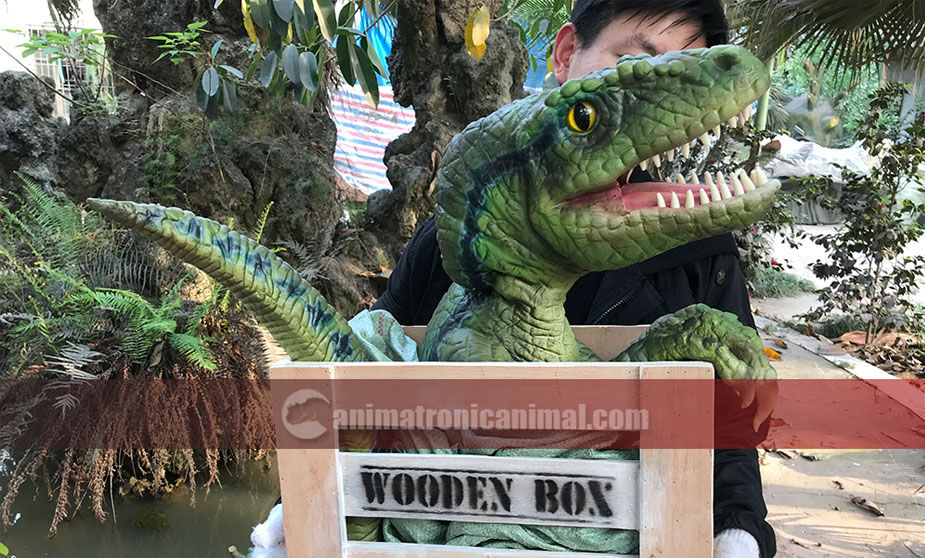 Animatronic Dinosaur Sales