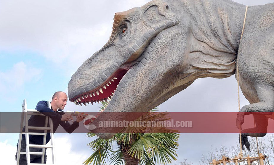 Dinosaur Teeth Installing