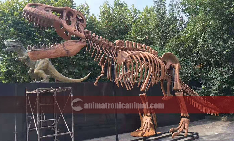 Fiberglass Dinosaur Skeleton Replica