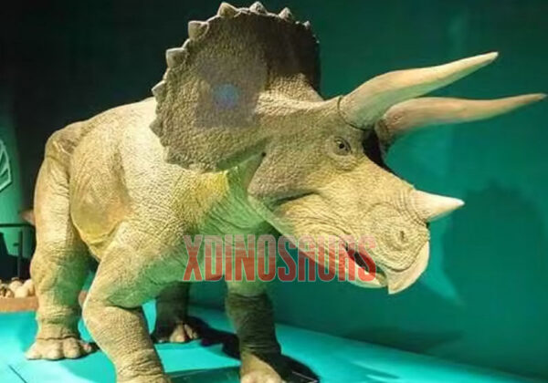 Big Triceratops Toy Model