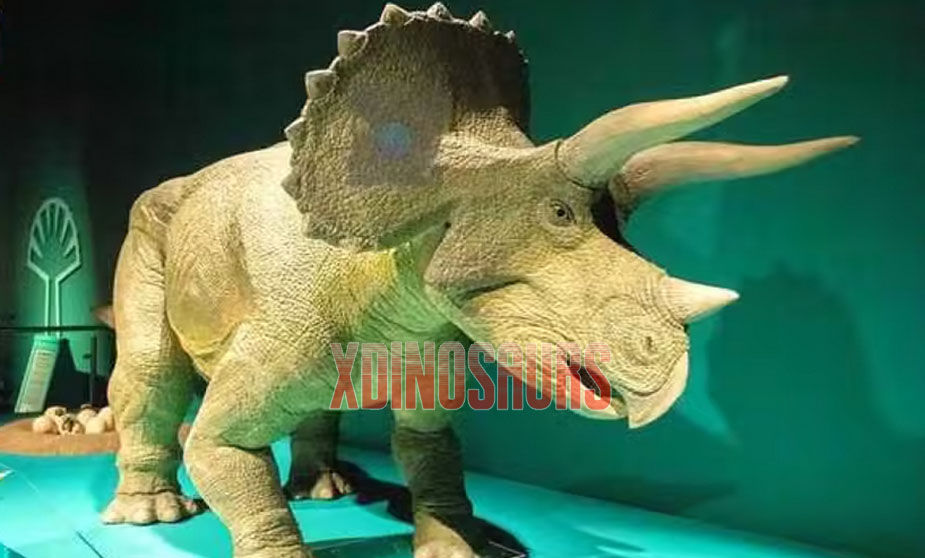 Big Triceratops Toy Model