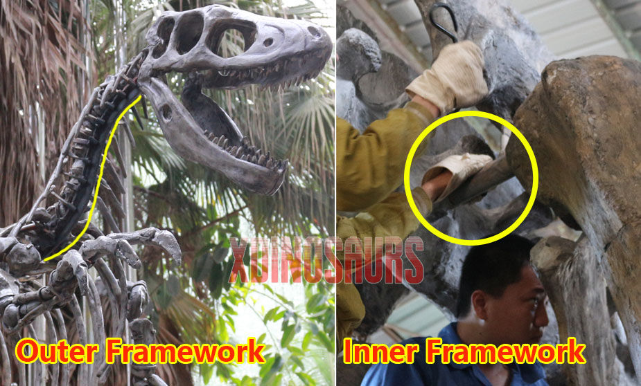 Dino Skeleton Frameworks