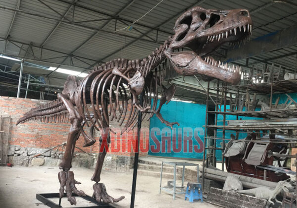 Reasonable Priced Dinosaur Skeleton Replica