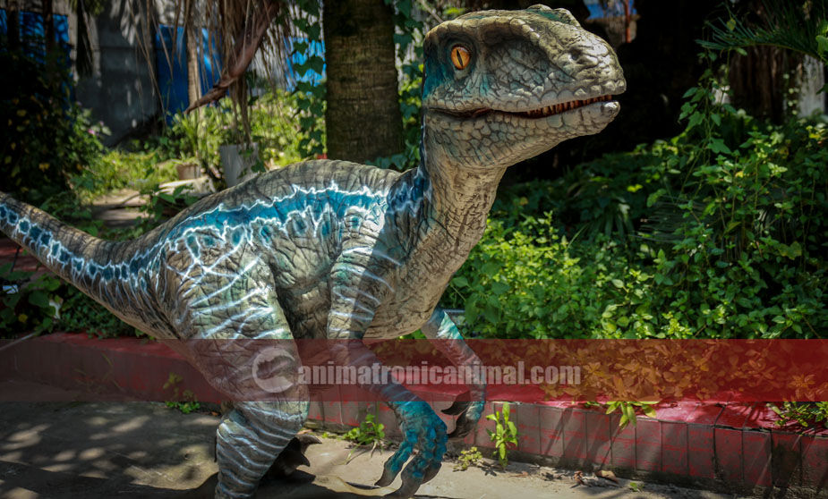 Small Animatronic Raptor Exhibit