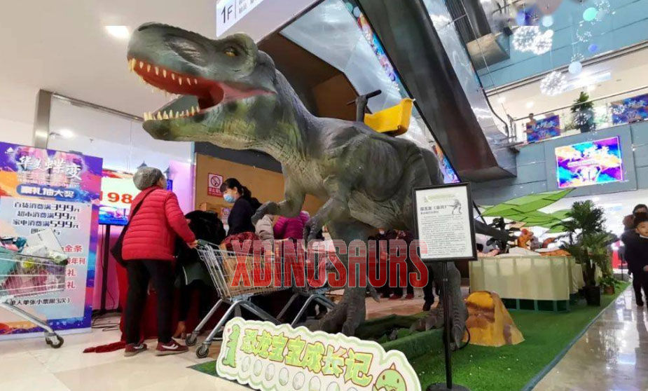 Dinosaur Decorations for Playground