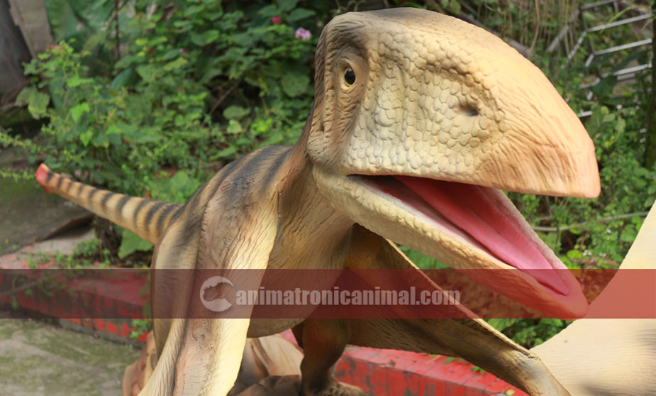 Handwork Animatronic Dimorphodon