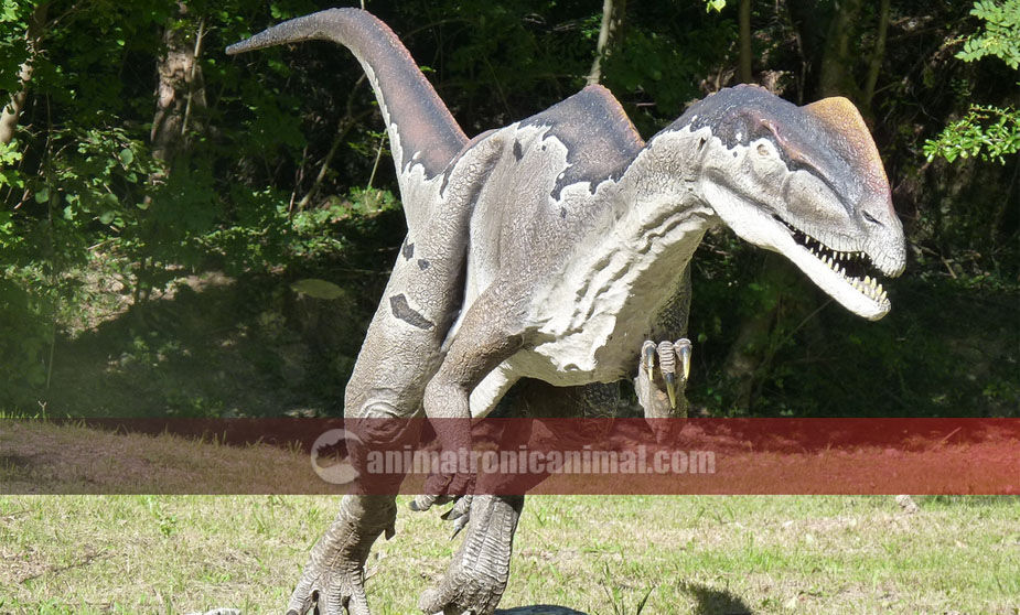 Life Size Fiberglass Dinosaur Statue Display