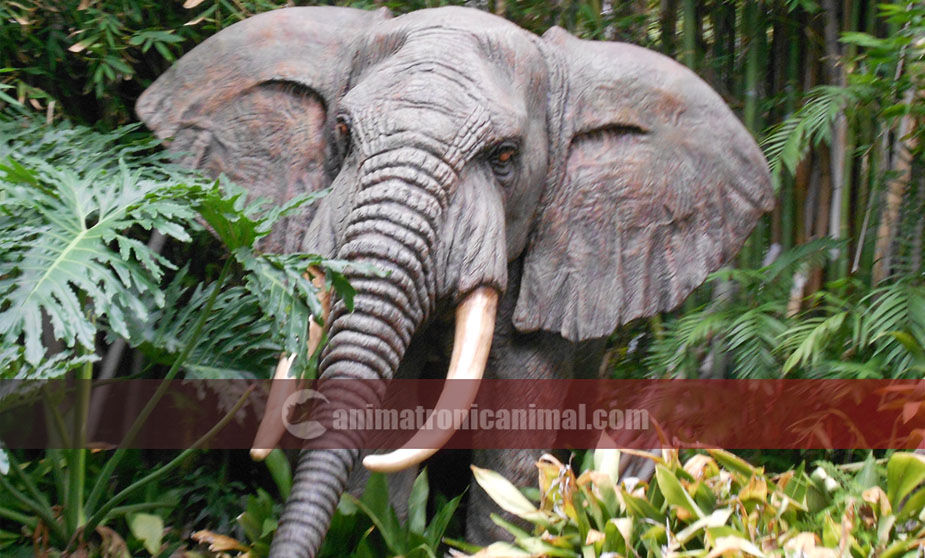 Moving Animal Elephant Exhibits